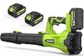 Leaf Blower Cordless 650CFM 288MPH Electric Leaf Blower with 2 x 4.0Ah Battery Operated, 6 Speed Mode, 20V Powered Handheld Blowers for Lawn Care, Patio, Dust, Blowing Leaves