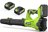 Leaf Blower Cordless 650CFM 288MPH Electric Leaf Blower with 2 x 4.0Ah Battery Operated, 6 Speed Mode, 20V Powered Handheld Blowers for Lawn Care, Patio, Dust, Blowing Leaves