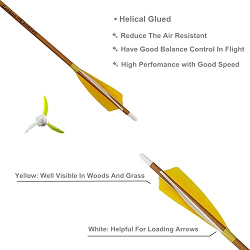 Letszhu Archery Carbon Arrows 500 Spine With Helical Real Feathers And Removable Tips For Compound Recurve Bow (6 Pack) #TOP3