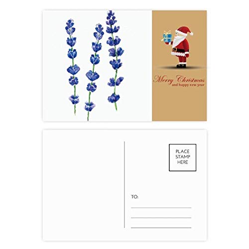 Lot de 20 cartes de lavande bleue à offrir avec vos cadeaux fleuris