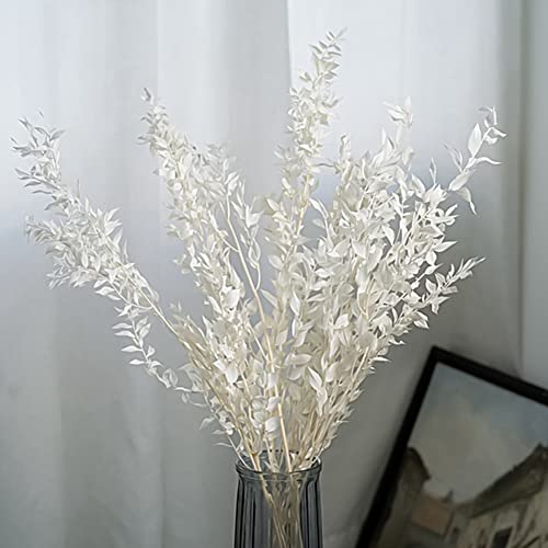 Ramo de Flores Preservadas Dried Ruscus 45 cm Blanco miniatura 2