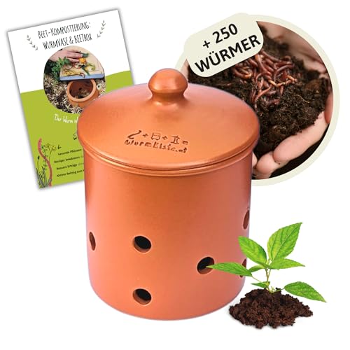wurmkiste.at 5L Wurmvase aus Ton | Beetkomposter Starterset inkl. 250 Kompostwürmer