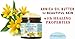 Botanical Beauty ARNICA OIL BUTTER Arnica Montana in Shea Butter 100% Natural for FACE, SKIN, BODY, HAIR, NAILS Skin Moisturizer Oil Butter, Skin Nourishing Oil Butter (4 Fl Oz)