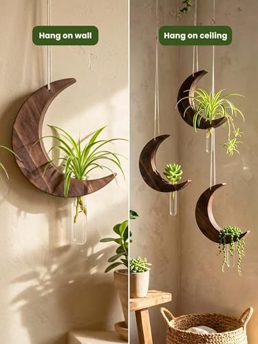 Image of Hanging Moon Planter with Wooden Holder & Rope | Test Tube Design, Indoor Stand, Home Decor, Living Room & Balcony, Office Decoration