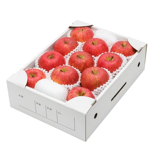 先行予約 りんご サンふじ 秀品 3kg 2026年産 12月上旬~1月中旬頃頃発送 ns-risfx3