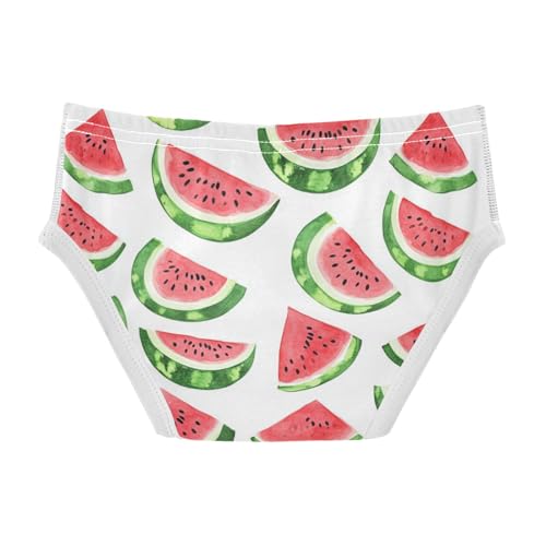 Wusikd Watercolor Red Boys' Underwear Cotton Red Watermelon Boys Briefs Soft Toddler Underwear 2T2