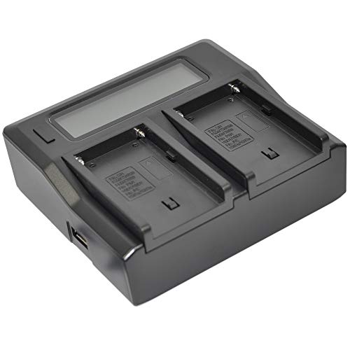 Batterie CGR-D08 pour filmer vos voyages avec chargeur double - 2