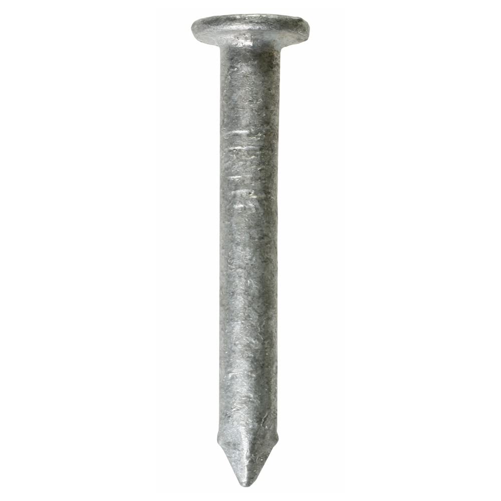 Simpson Strong-Tie N10D5HDG Structural Connector Nails