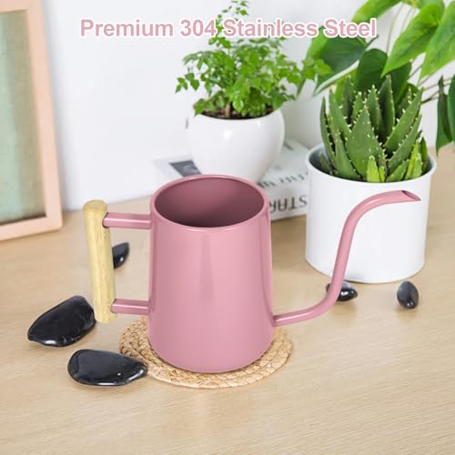 Image of Watering Can Indoor Plants, 35 oz /1000 ml Metal Stainless Steel Watering Can Pot with Long Spout for Indoor House Plants Bonsai Outdoor Garden Flower Decorative (Pink)