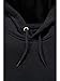Carhartt mens Signature Sleeve Logo Hooded fashion sweatshirts, Black, XLG TLL US