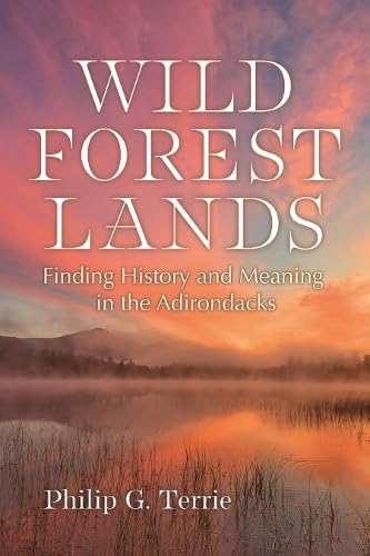 Wild Forest Lands: Finding History and Meaning in the Adirondacks (New York State Series)