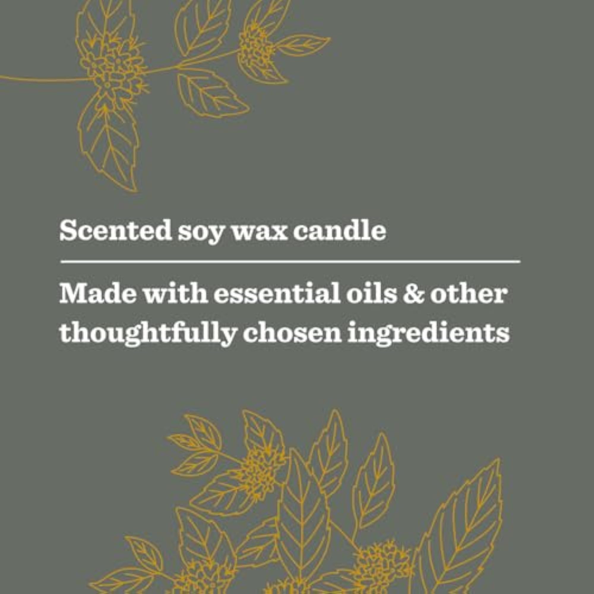 MMCD Premium Candle Wild Mint 14oz