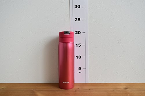 Tiger Bouteille d'eau 500ml Inoxydable à Verrouillage Auto