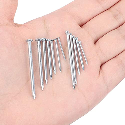 Hongway 1500Pcs Hardware Nails Assortment Kit, Galvanized Nails Set, Assorted 12 Sizes Wire And Common Brad Nails Flat Nails Finishing Nails Wall Nails For Pictures Hanging Woodworking #TOP4