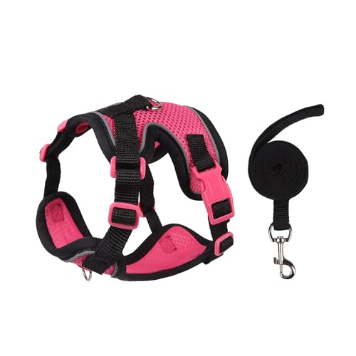 Cat Harness and Leash Set for Walking – Escape-Proof Reflective Vest for Cats and Small Dogs, Adjustable Soft Air Mesh with Pressure-Reducing Design, 4.92ft (Black & Rose, S)