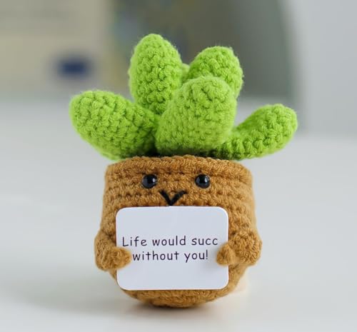 Handmade Crochet Succulent Plush Toy with Motivational Sign, Life Would Succ Without You, Cute Plant Decor Gift