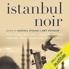 Couverture de Istanbul Noir