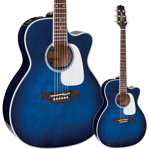 エレアコ タカミネ ギター アコースティック」の人気商品一覧 | 安い