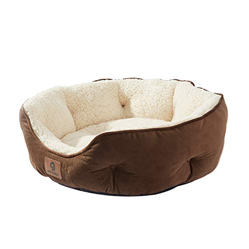 Asvin Small Dog Bed For Small Dogs, Cat Beds For Indoor Cats, Pet Bed For Puppy And Kitty, Extra Soft & Machine Washable With Anti-Slip & Water-Resistant Oxford Bottom, Brown, 20 Inches #TOP8