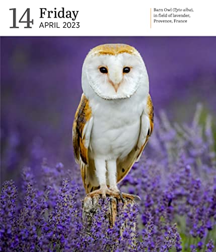 Audubon Birds Page-A-Day Gallery Calendar 2023: Hundreds Of Birds, Expertly Captured By Top Nature Photographers #TOP5