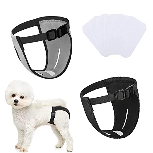 Paquete de 2 Pantalones para Perros, pañales para Perros con 6 Toallas sanitarias, Pantalones Protectores Ajustables para Perras en celo, Sangrado mensual (XS-Negro y Gris)