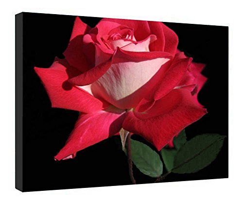 Toile rose avec cadre bois pour décoration salon chaleureuse 40x50