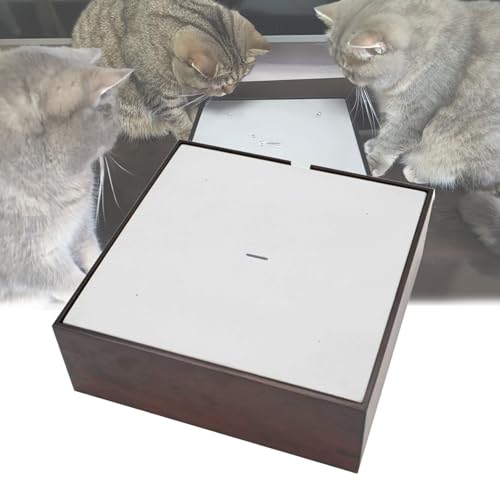 Fuente automática de agua para gatos con filtro y 600ml