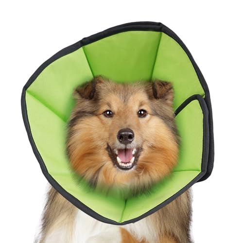 Soft Dog Cone After Surgery: Comfortable Dog Cones Collar