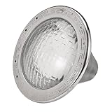 Pentair EC-602127 Lights, White