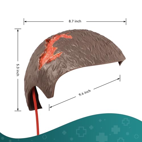 Image of Wearable Wound Packing Head Trainer Kit for Medical Training | Wearable Bleeding Control Training for Medical Students, First Aid,and Medical Classes, Brown