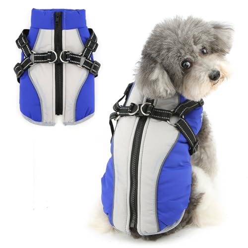 Ranphy �� �� �H �~ �t���[�X���n�t�� �R�[�g �y�b�g�� �W���P�b�g D�����O�t�� �w���J���t�@�X�i�[ �n�[�l�X�t�� ���˃e�[�v ���߉\ �h�� ���E�ȒP ���E�F�A�[ �����^�� ���^�� �q�� �L�� �`���� ���p�R�X�`���[�� �h�b�O�E�F�A �~�� ���U