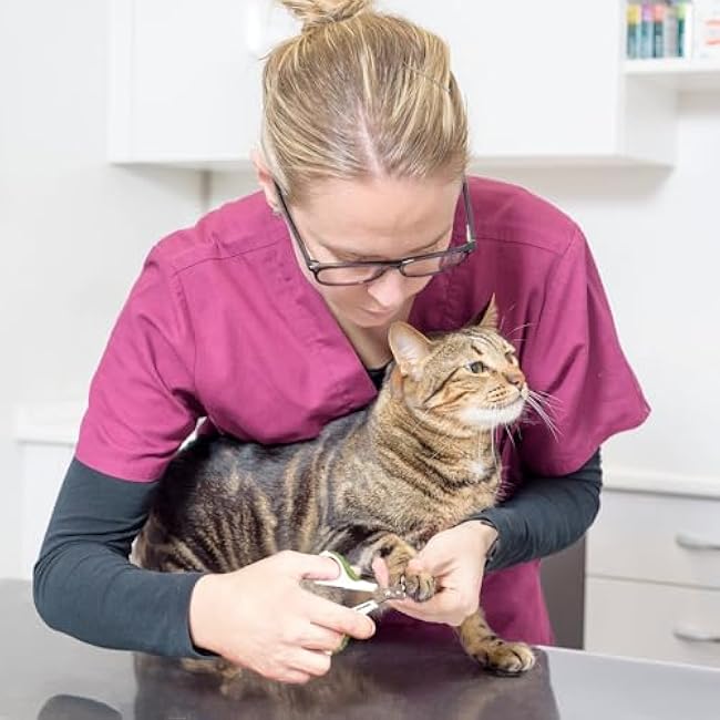 Cat Nail Clipper & Trimmer for Indoor Cats Kitten Puppy Rabbit Small Dog Bird - Professional Pet Grooming Tool for Safe Claw Care - Easy for Home Use for Beginners - Ebook Guide-rTa8w0xH