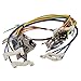 5304516152 Range Main Top Wire Harness Genuine Original Equipment Manufacturer (OEM) Part