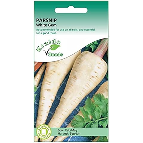 Kraido Parsnip Seeds White Gem (Pastinaca Sativa) 450 Seeds, Sow by November 2025, Grow Your Own Vegetable, Perfect for Outdoor Growing or in Large Pots and Containers Cover