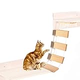 AHORRE ESPACIO: la pared de escalada hecha a mano ahorra espacio, se puede instalar en la pared, proporciona espacio vertical para su gato y ahorra espacio. Ayude a resolver problemas de comportamiento y geográficos en casa.