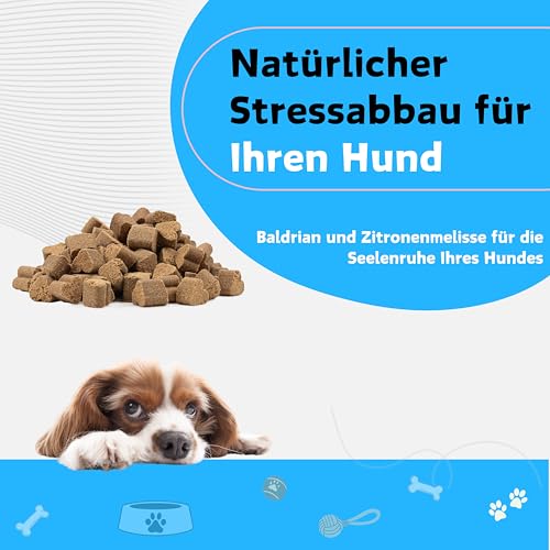 Dogs Valley Vitamine für Hunde Peak Calm - 90Stk Hundeleckerlis – Natürliches Entspannungsleckerli mit Baldrian, L-Theanin, L-Tryptophan, Ashwagandha - zur Stress & Angstlinderung, Lebergeschmack