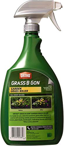 Ortho Lands B-Gon Grass Killer For Landscapes (4) #TOP1