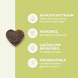 mammaly 13 in 1 Welpen Leckerlies für Hunde (650g) Puppy Power mit Präbiotika, Grünlippmuschel und Vitamin E - Gesundes Wachstum und Nervenfunktionen - Unterstützt Training
