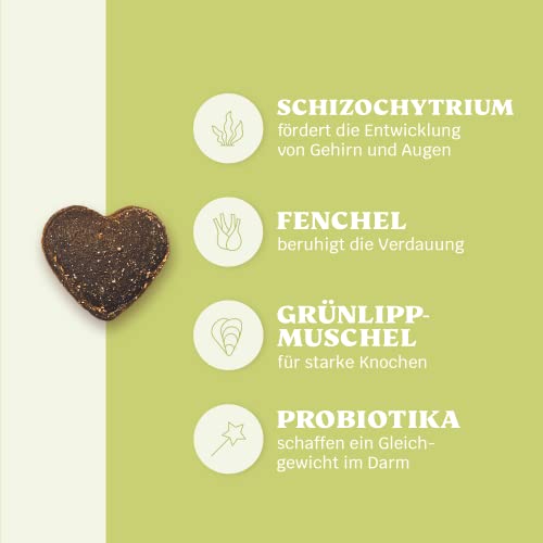 mammaly 13 in 1 Welpen Leckerlies für Hunde (650g) Puppy Power mit Präbiotika, Grünlippmuschel und Vitamin E - Gesundes Wachstum und Nervenfunktionen - Unterstützt Training