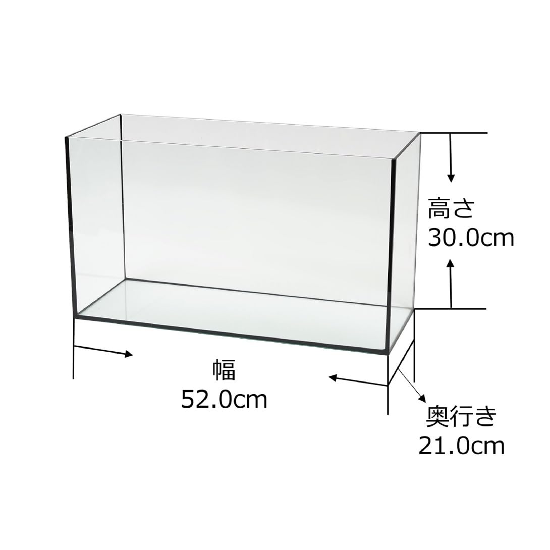 Tetra All Glass Aquarium セット Amazon | Tetra テトラ オールグラスアクアリウム300 熱帯魚