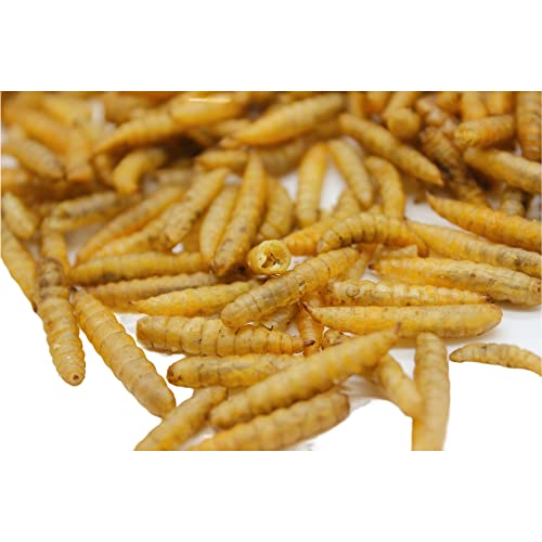 Grubsfarm Premium Chicken Treats 2Lbs - Superior To Dried Mealworms - Non-Gmo & 85X More Calcium Than Meal Worms - Molting & Laying Supplement - Bsf Larvae Treats For Layer Hens, Ducks Wild Birds #TOP5