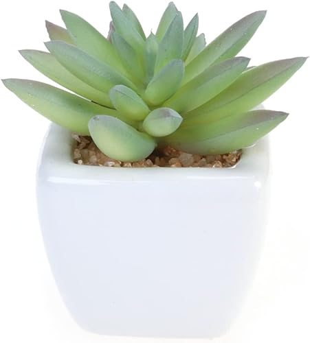 Miniatura 3 de DECHOUS Plantas artificiales falsas suculentas bonsái falsas maceta para decoración del jardín del hogar