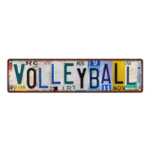 Retro Volleyball Metal Tin Sign 16x4 inches Wall Decor