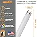 Sunlite 30115 2 Foot T8 Linear Fluorescent Lamp, 17 Watts, 1450 Lumens, F17T8/SP835, 3500K Neutral White, Medium G13 Bi-Pin Base, ROHS Compliant, 30 Pack