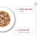 ROYAL CANIN X-Small Adult | 12 x 85 g | Feuchtnahrung für ausgewachsene und besonders kleine Hunde | Ab dem 10. Lebensmonat | Mit Häppchen in Soße | Im Pouchbeutel