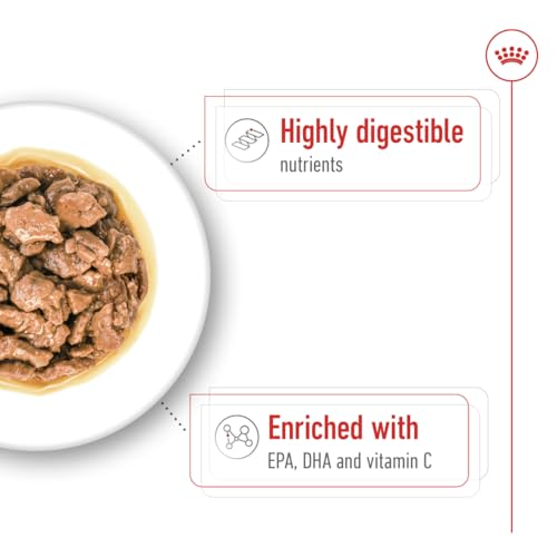 ROYAL CANIN X-Small Adult | 12 x 85 g | Feuchtnahrung für ausgewachsene und besonders kleine Hunde | Ab dem 10. Lebensmonat | Mit Häppchen in Soße | Im Pouchbeutel