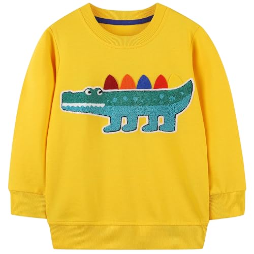 Image of AIWUHE Toddler Cotton Sweatshirt Boys Girls Pullover Long Sleeve Tops 2-6Y | Tops Blouse, Cotton T-Shirt, Fall Winter Clothes