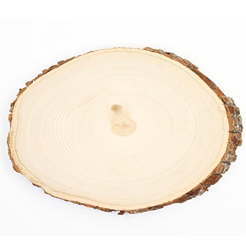 Koyal Wholesale Reversible Wood Slab Tree Slice With Bark Floral Centerpiece, Oval Shaped, 9 to 11-Inch