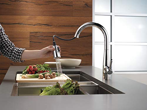 Image of Delta Essa Chrome Kitchen Faucet with Pull Down Sprayer, Modern Single Hole Kitchen Sink Faucet, Single Handle, Chrome 9113-DST