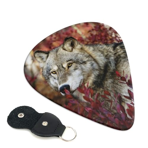 IIJ~ 킢GLM^[sbN S҃gCAOsbN 6 Zbg 0.71mm